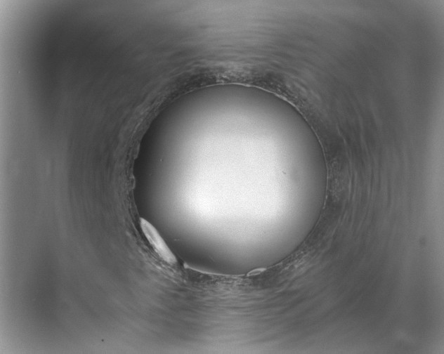 X0000073491345200608140831