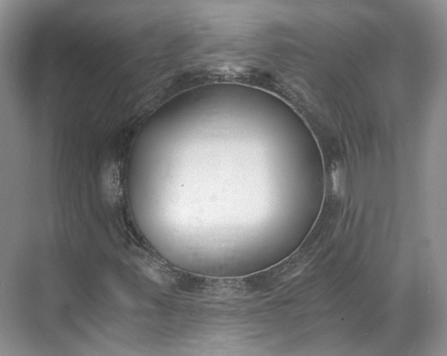 X0000073491347200608140831