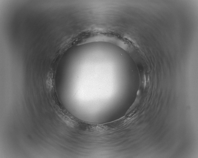 X0000073491348200608140831