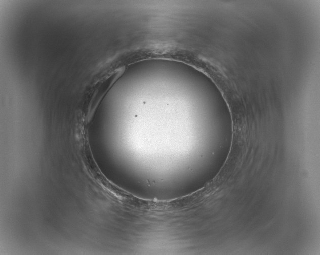 X0000073491349200608140831