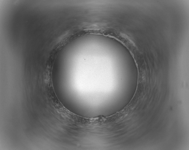 X0000073491350200608140831