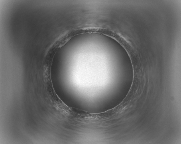 X0000073491351200608140831