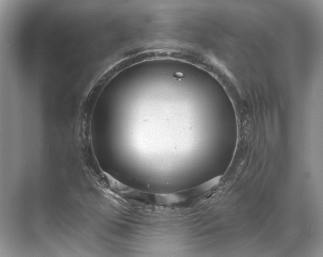 X0000073491352200608140831