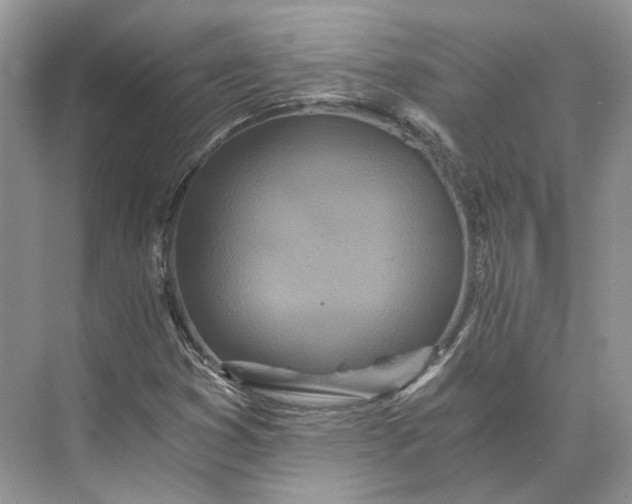 X0000073491353200608140831