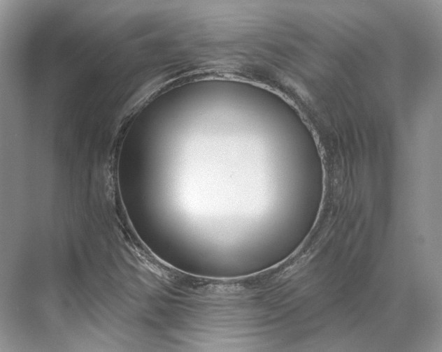 X0000073491354200608140831