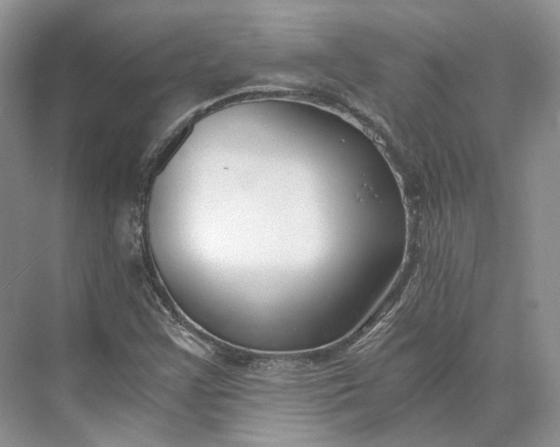 X0000073491355200608140831