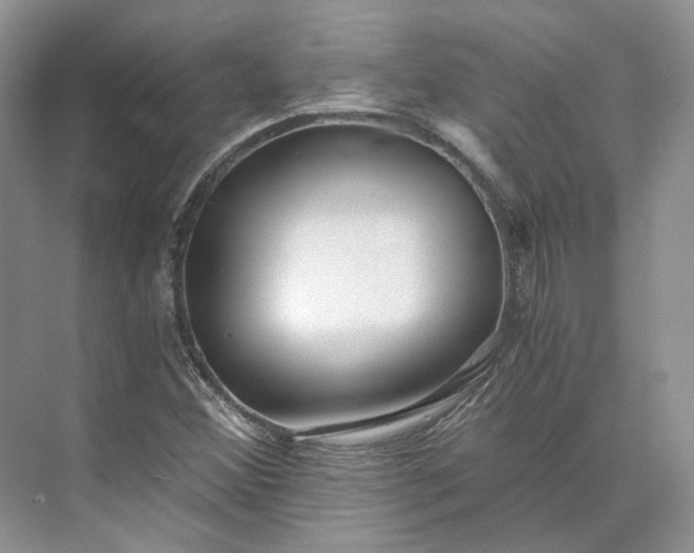 X0000073491356200608140831