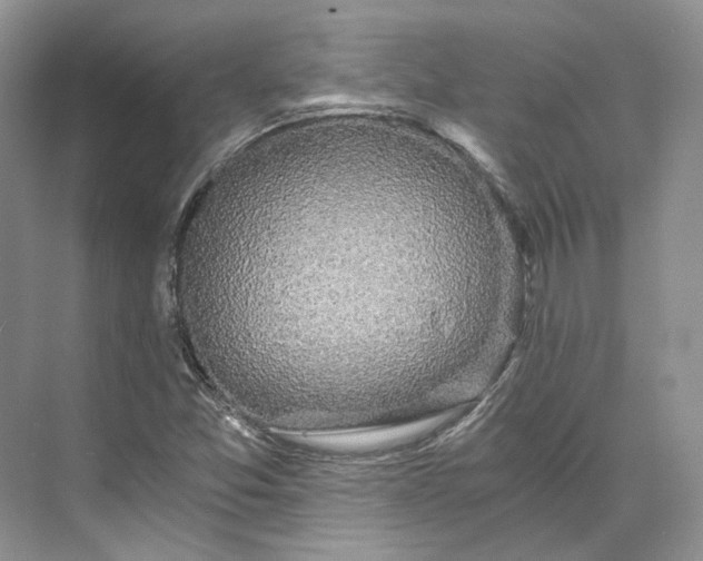 X0000073491357200608140831