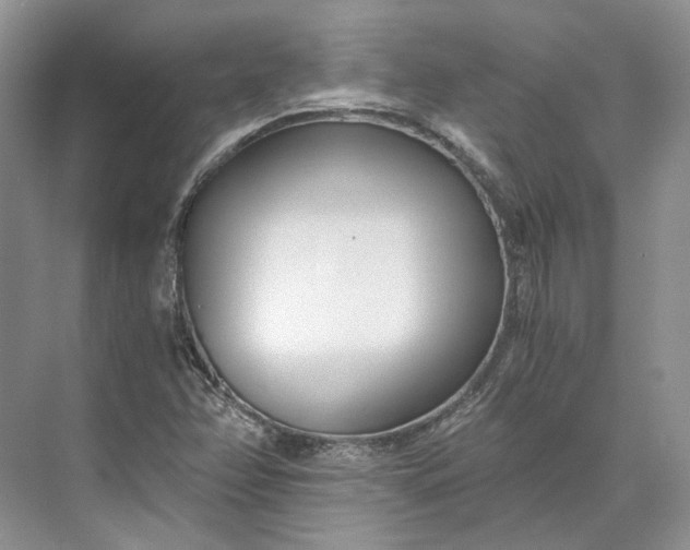 X0000073491358200608140831