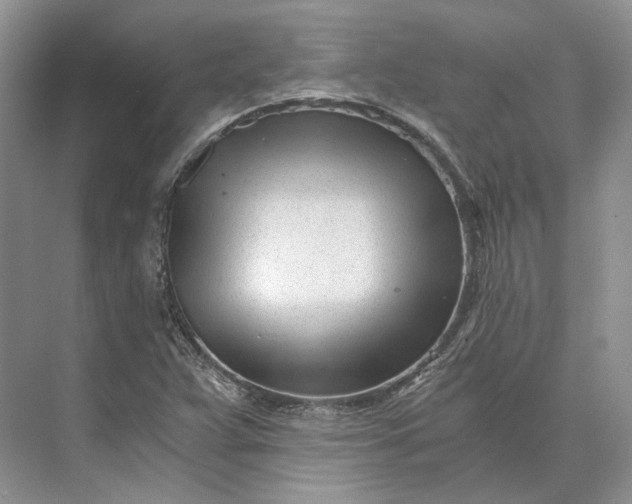 X0000073491359200608140831