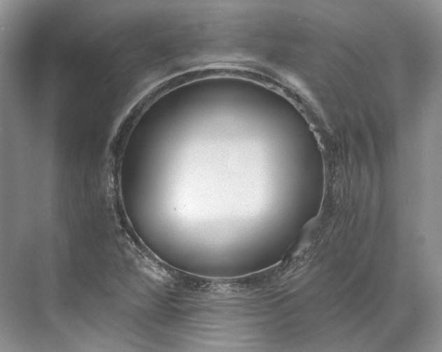 X0000073491360200608140831