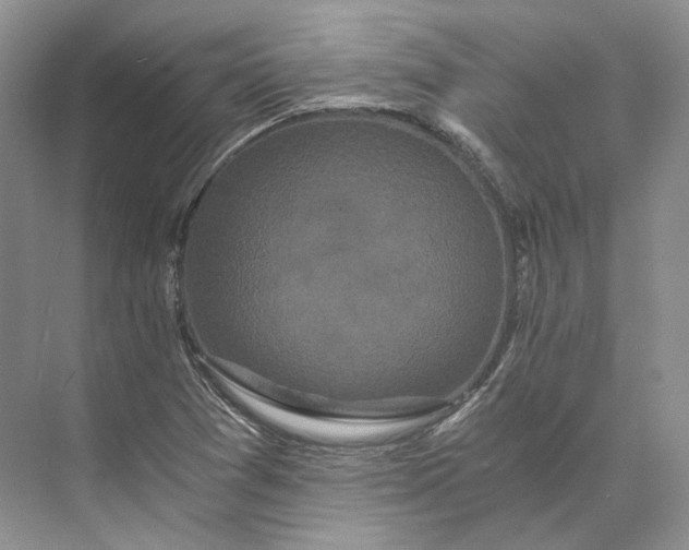 X0000073491361200608140831