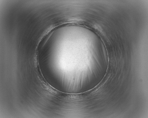 X0000073491362200608140831