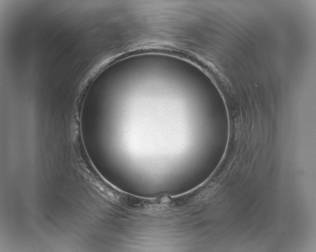 X0000073491363200608140831