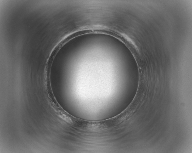 X0000073491364200608140831