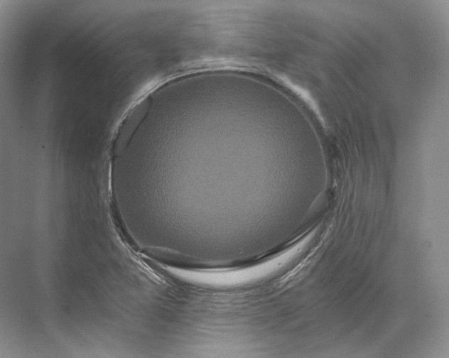 X0000073491365200608140831