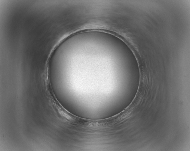 X0000073491366200608140831