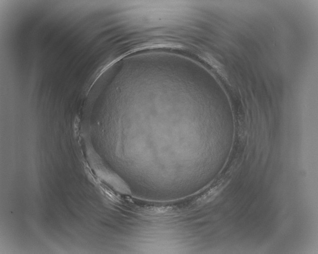 X0000073491369200608140831