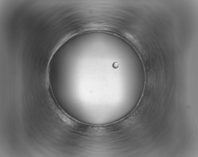 X0000073491370200608140831