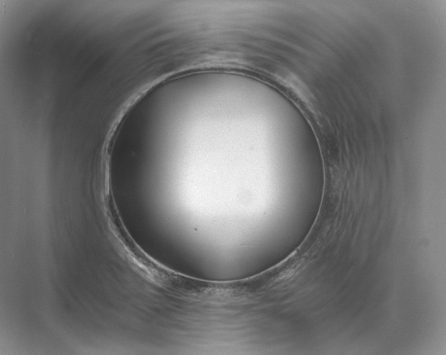 X0000073491371200608140831