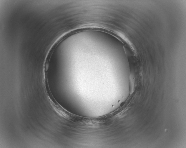 X0000073491372200608140831