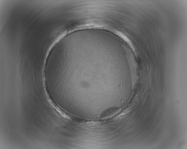 X0000073491373200608140831