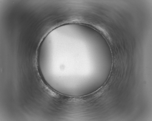 X0000073491374200608140831