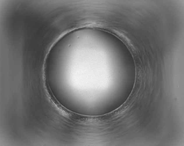 X0000073491375200608140831