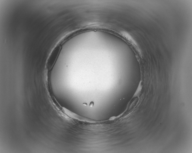 X0000073491376200608140831