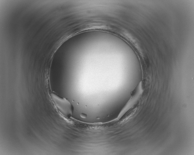 X0000073491377200608140831