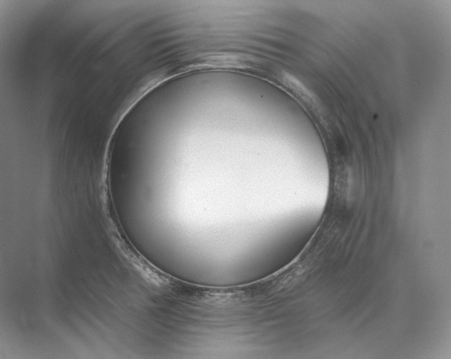 X0000073491378200608140831