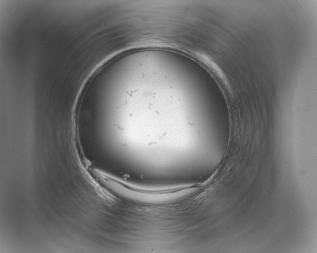 X0000073491380200608140831