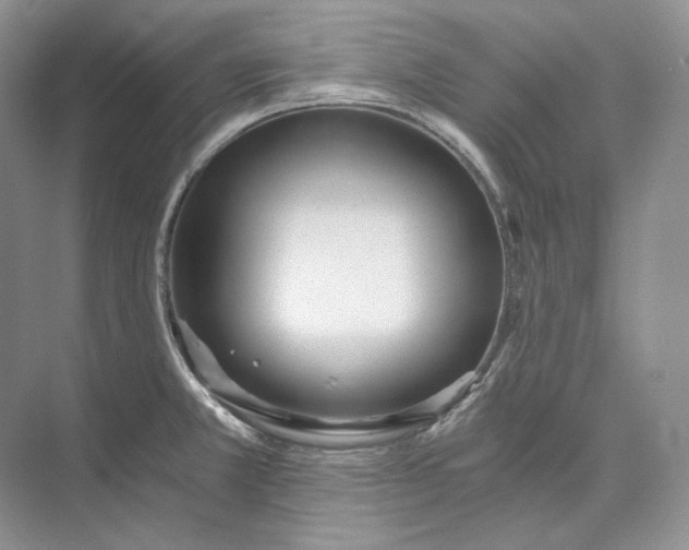 X0000073491381200608140831