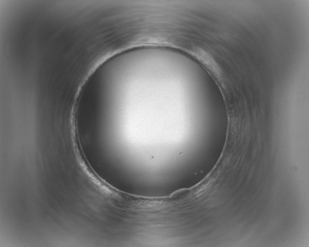 X0000073491382200608140831