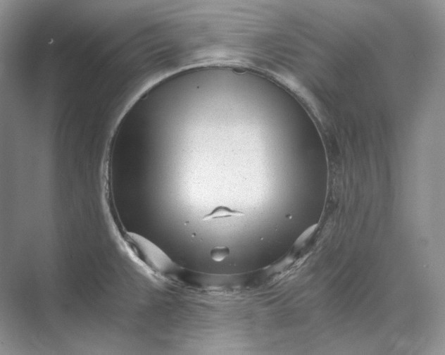 X0000073491383200608140831