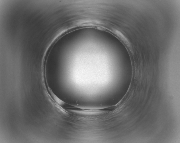 X0000073491384200608140831