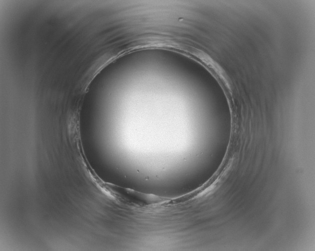 X0000073491385200608140831