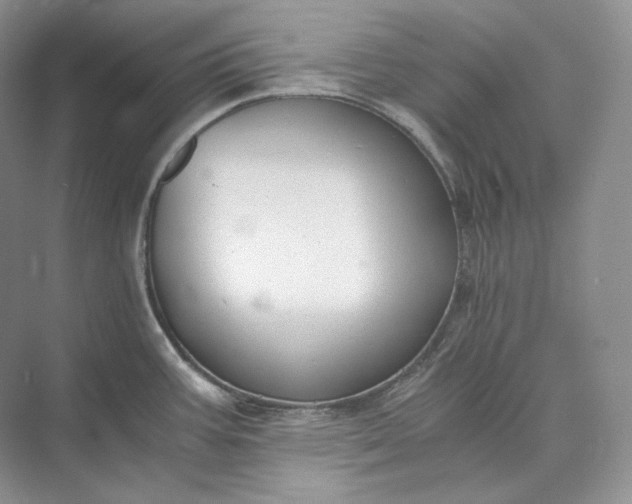 X0000073491387200608140831