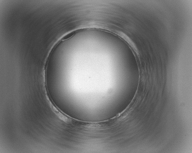 X0000073491388200608140831