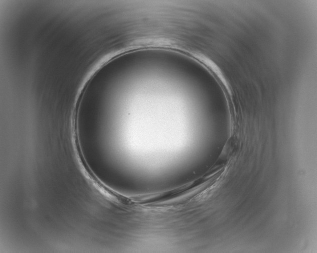 X0000073491389200608140831