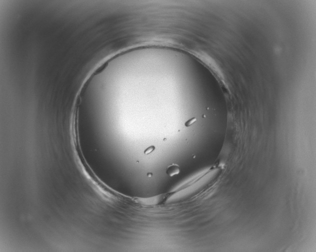 X0000073491391200608140831