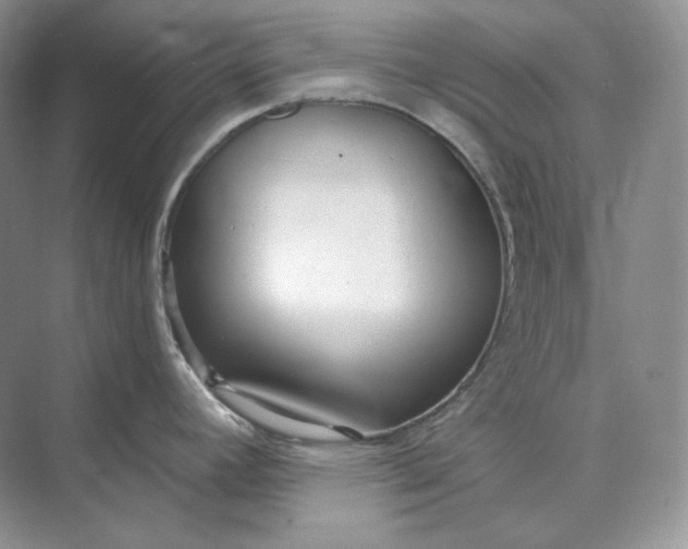 X0000073491392200608140831