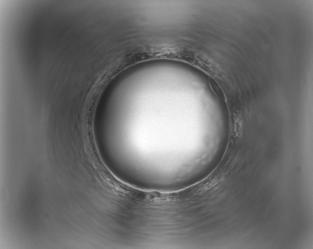 X0000073491393200608140830