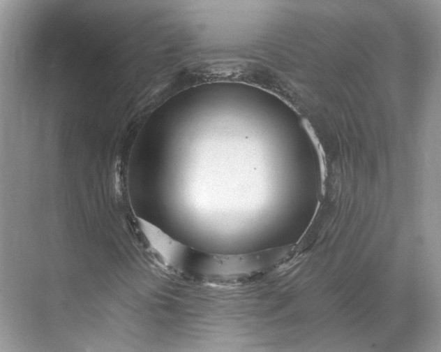 X0000073491394200608140830