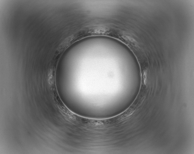 X0000073491395200608140830