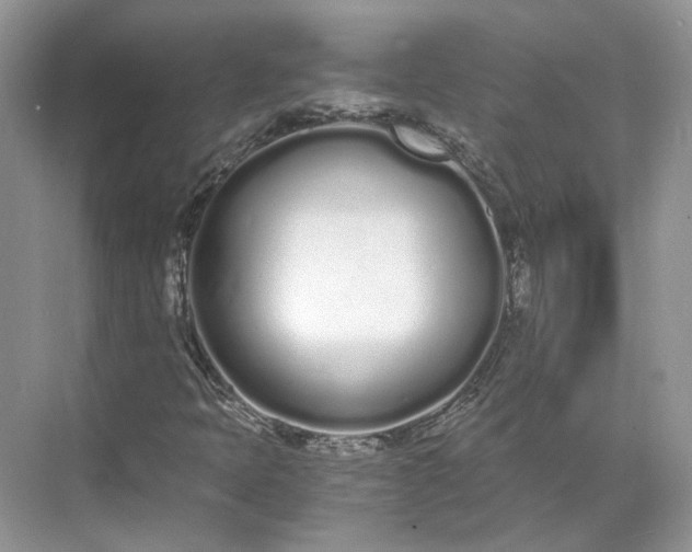 X0000073491397200608140830