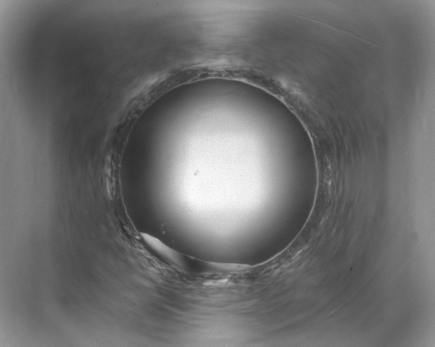 X0000073491398200608140830