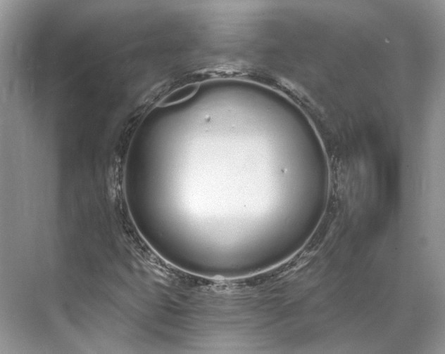 X0000073491399200608140830