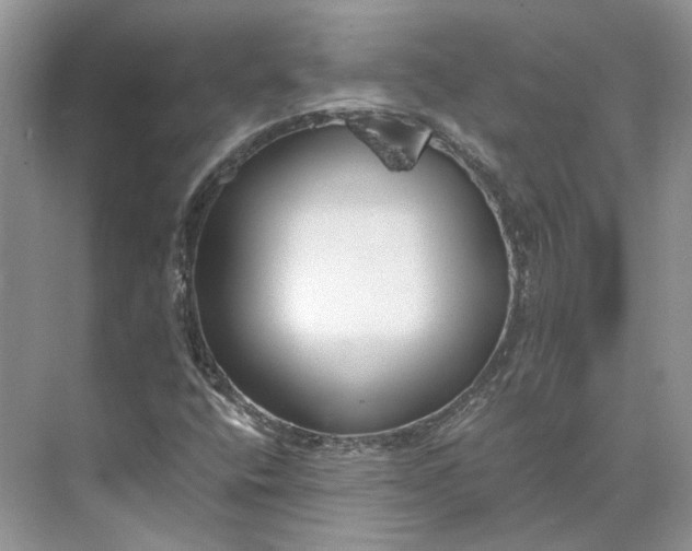 X0000073491400200608140830