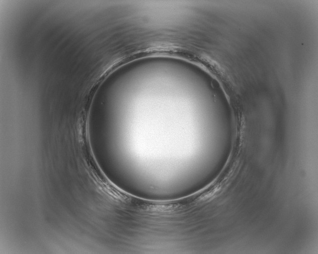 X0000073491401200608140830